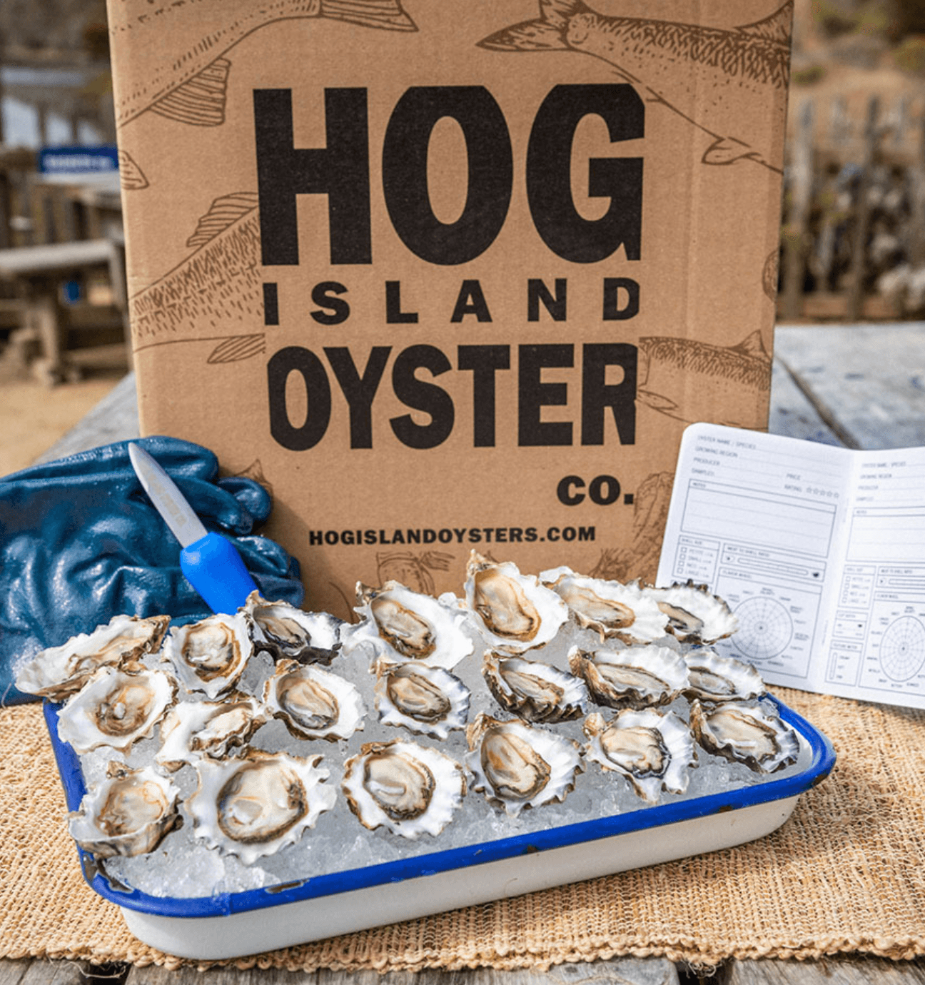 Hog Island Oyster Bar